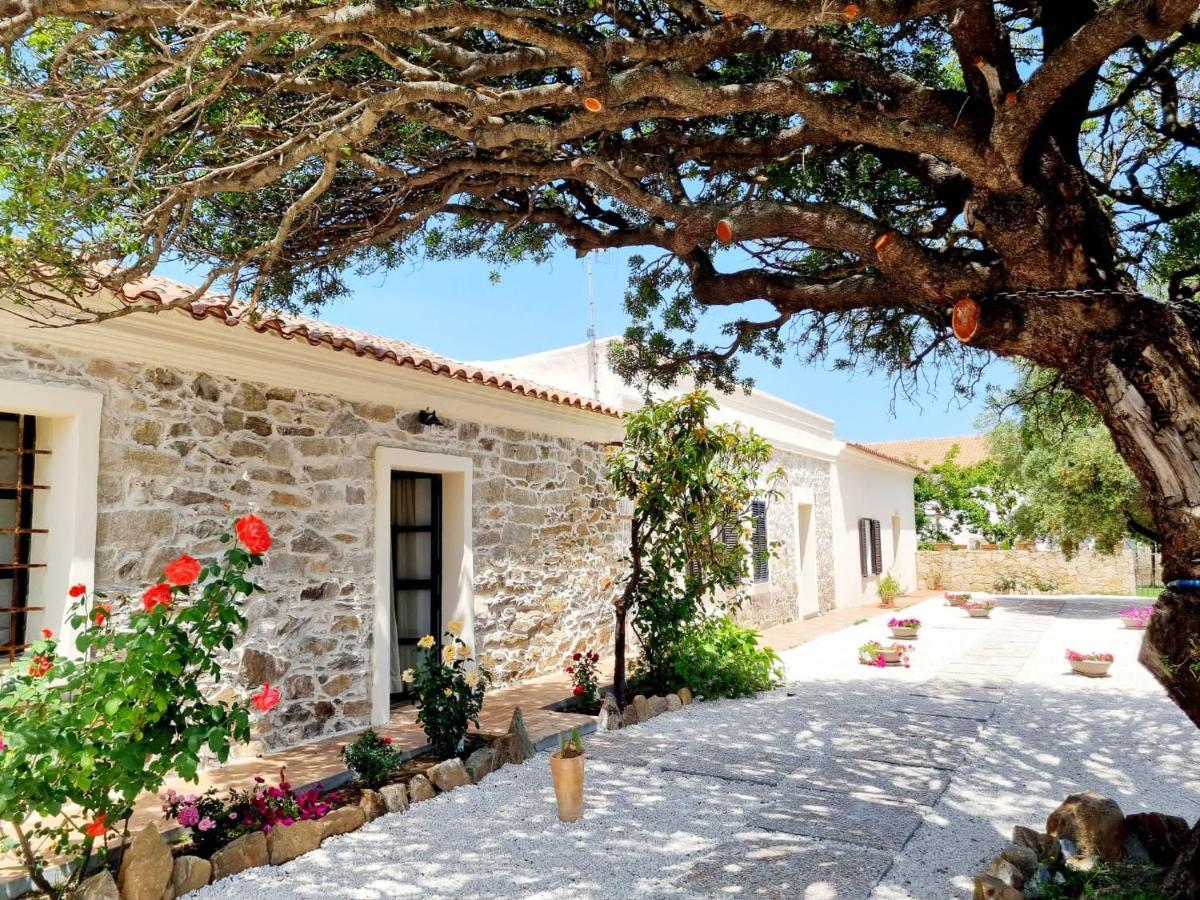 Апартаменти Stazzo San Teodoro La Quercia Piscina Condivisa Екстер'єр фото